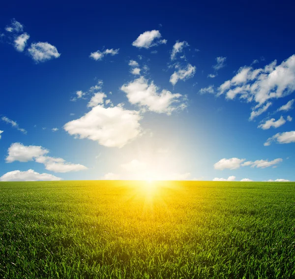 yeşil alan ve gökyüzü