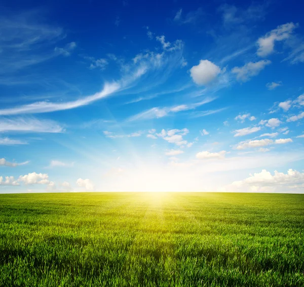 Campo verde e céu — Fotografia de Stock