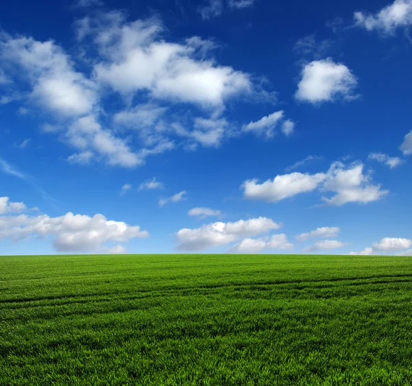 Groen veld en lucht — Stockfoto