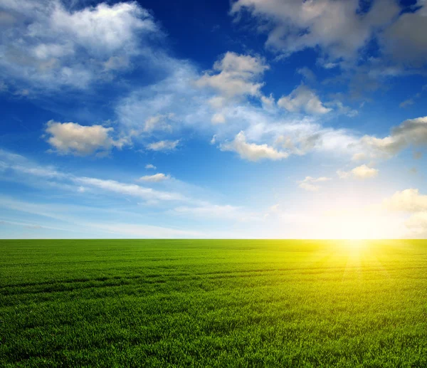 Campo verde y cielo — Foto de Stock