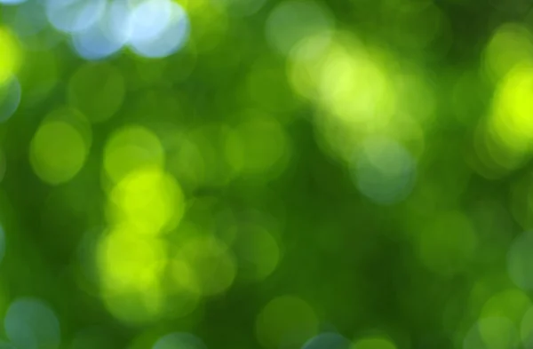 Gröna bokeh abstrakt — Stockfoto