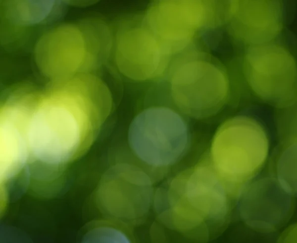 Groene bokeh abstract — Stockfoto