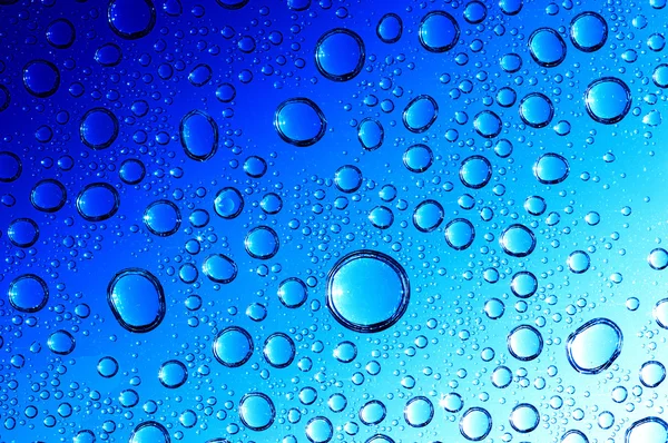 Drops on glass — Stock Photo, Image