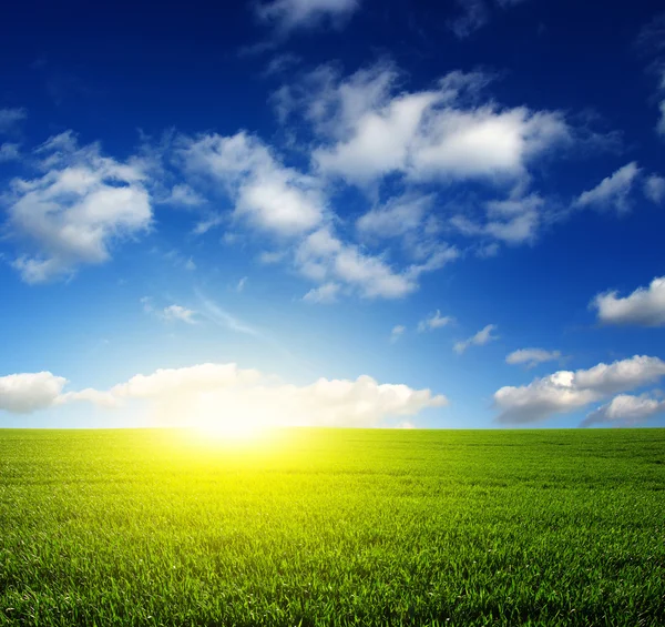 Campo y cielo — Foto de Stock