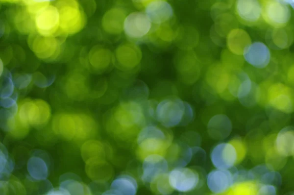 Green blurred background — Stock Photo, Image