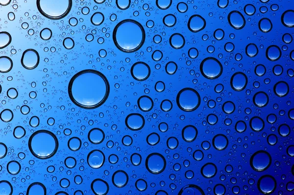 Drops on glass — Stock Photo, Image