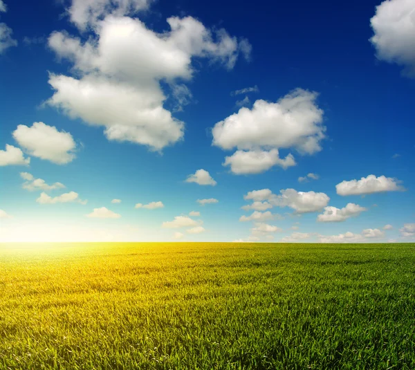 Campo y cielo — Foto de Stock