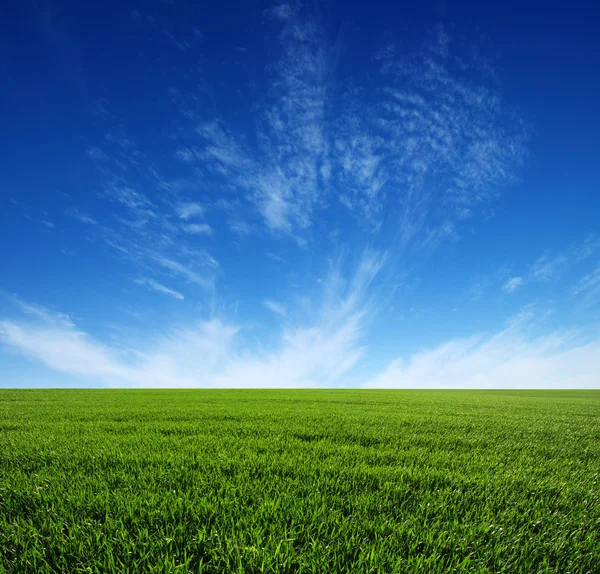 Campo y cielo — Foto de Stock