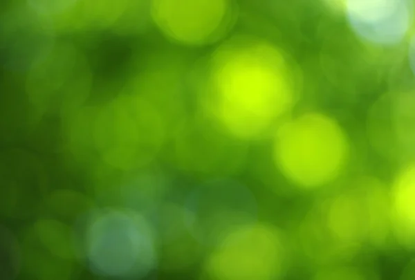 Gröna suddig bakgrund — Stockfoto