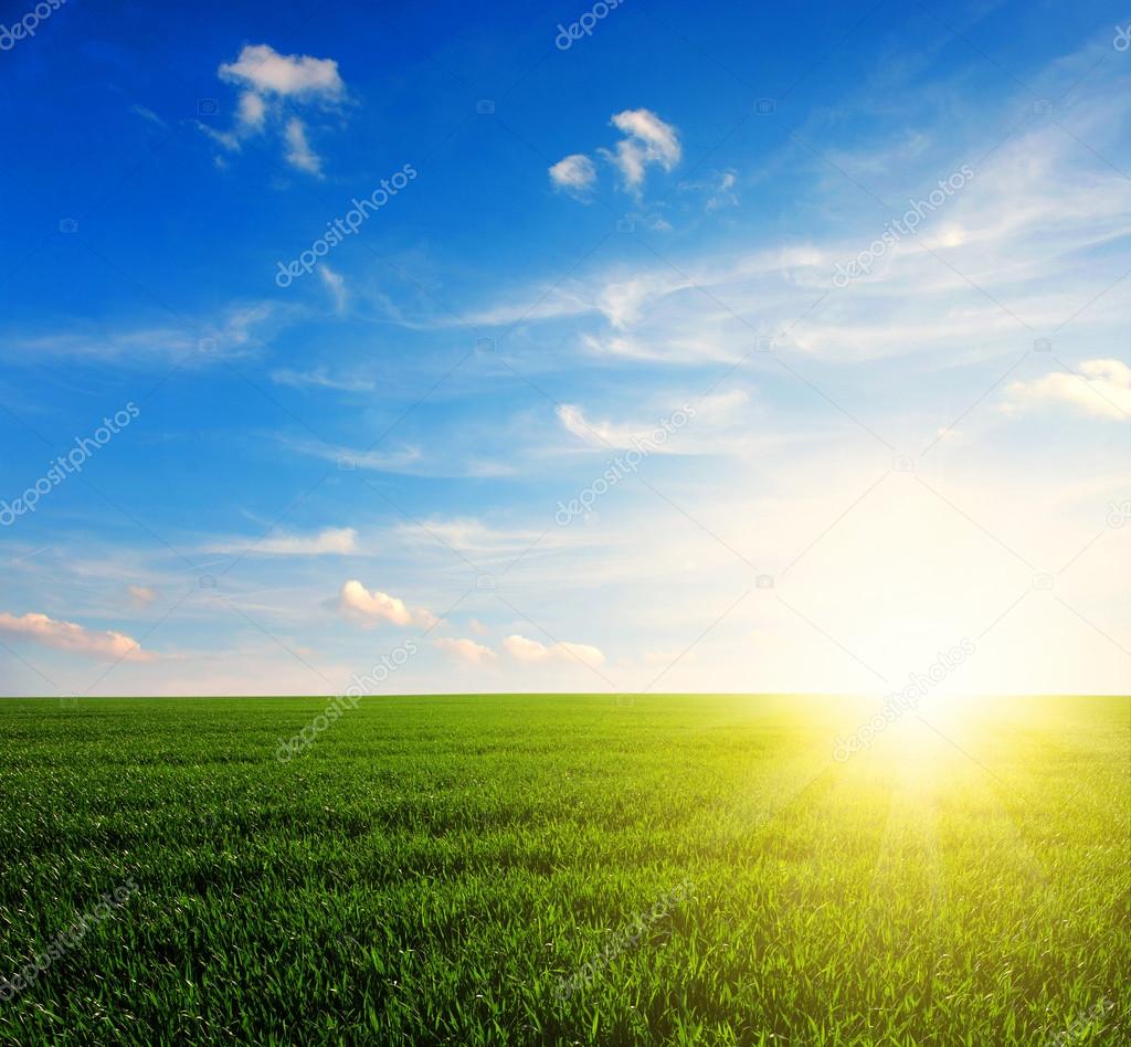 field and sky