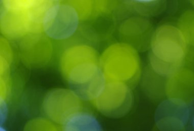 Yeşil bokeh arka plan