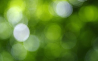 Yeşil bokeh arka plan