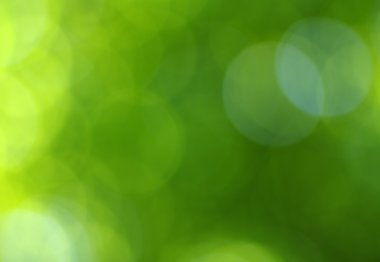 Yeşil bokeh arka plan
