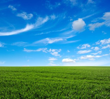 yeşil alan ve gökyüzü