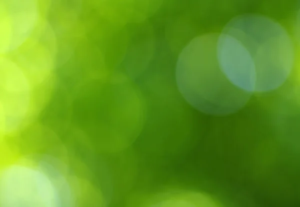 Green bokeh background — Stock Photo, Image