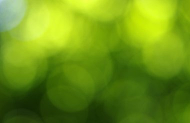 Yeşil bokeh arka plan