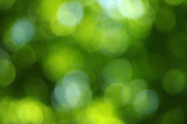 Yeşil bokeh soyut