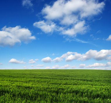 yeşil alan ve gökyüzü