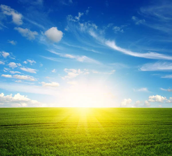 Green field  and sky — Stock Photo, Image