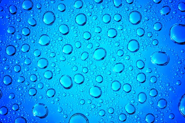 Drops on glass — Stock Photo, Image