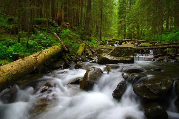 Mountain river flowing through — Stock Photo, Image