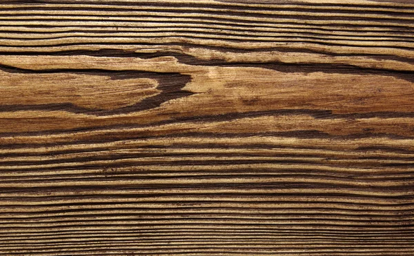 Тло текстури дерева — стокове фото