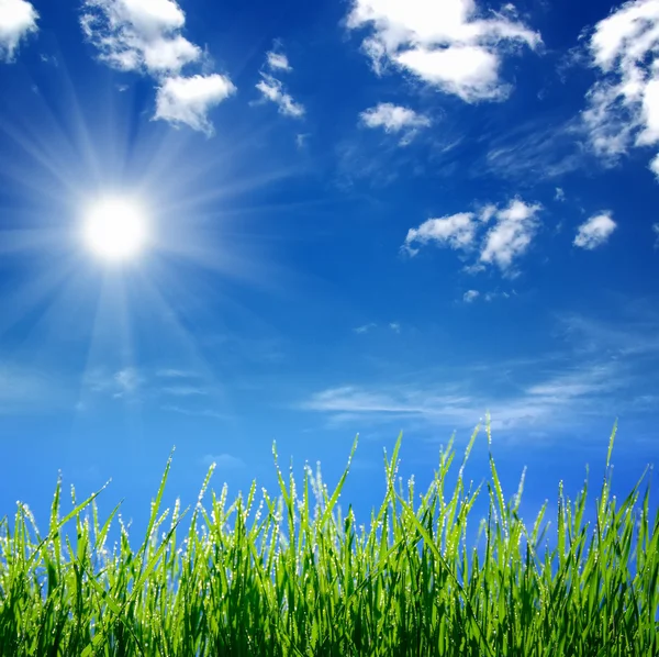 Grass on clouds — Stock Photo, Image