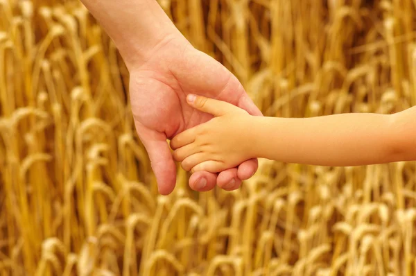 Apa és a gyermek kezét — Stock Fotó