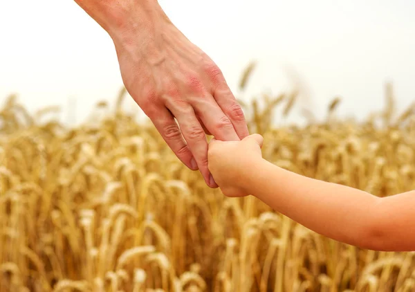 Mains de l'enfant et du père — Photo