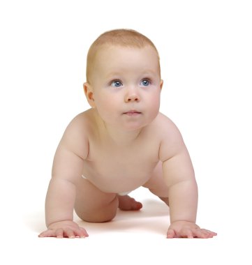  Bebek beyaz arkaplanda izole edildi