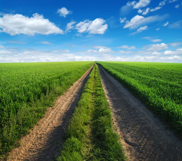 Strada in campo — Foto Stock