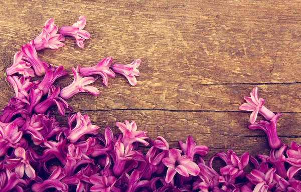 Våren blommar på trä bakgrund — Stockfoto