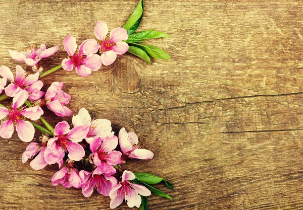 Flores de primavera no fundo de madeira — Fotografia de Stock