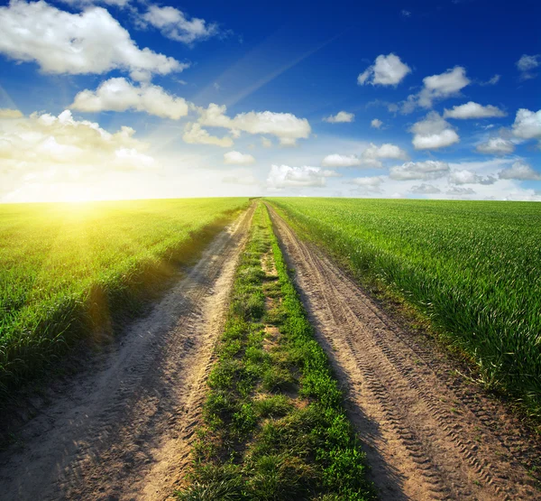 Strada in campo — Foto Stock