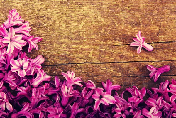 Sfondo fiore di primavera — Foto Stock