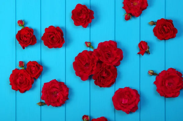 Flores Rosas Vermelhas Pranchas Madeira Pintadas Azul — Fotografia de Stock