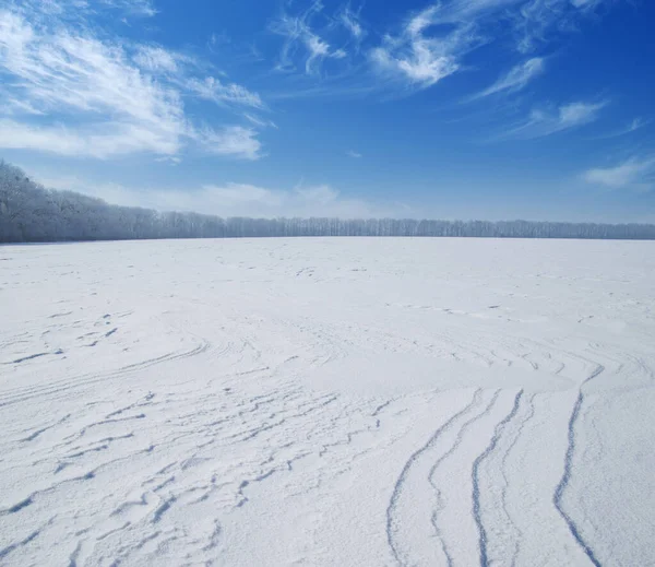Pole Sněhu Zatažené Oblohy — Stock fotografie