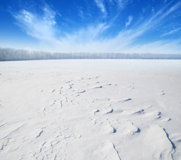 Champ Neige Ciel Nuageux — Photo