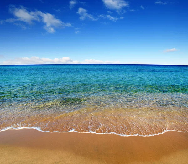 Letní Písečná Pláž Moře Pozadí — Stock fotografie