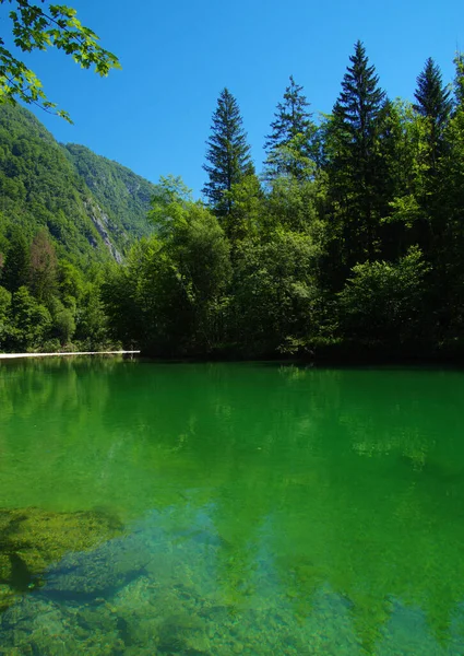 Paisagem Com Montanhas Floresta Rio — Fotografia de Stock