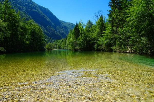 Landscape Mountains Forest River — Stock Photo, Image