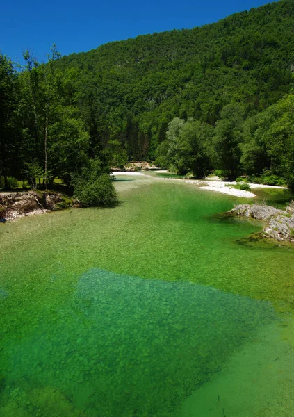 Río Montaña Con Agua Clara —  Fotos de Stock