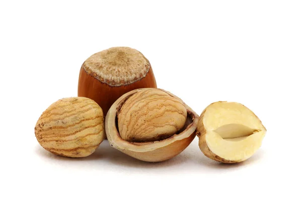 Hazelnut Group Many Isolated White Background — Stock Photo, Image