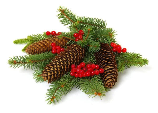 白い背景に孤立したモミのコーンとモミの枝とクリスマスの装飾 — ストック写真