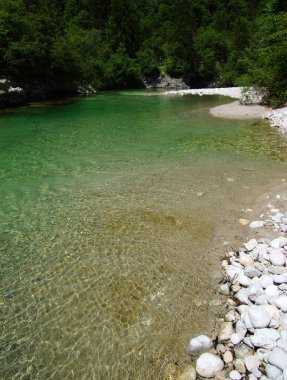 Dağları, ormanı ve nehri olan bir manzara.