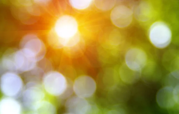 Grön Suddig Bakgrund Bokeh Effekt — Stockfoto