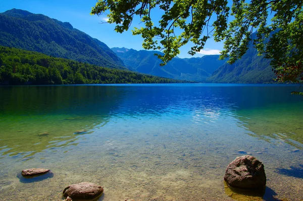 Paisagem Lago Bohinj Com Água Clara Parque Nacional Triglav Julian — Fotografia de Stock