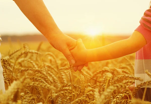 Руки Матері Дочки Сонці Тримаючи Один Одного Пшеничному Полі — стокове фото