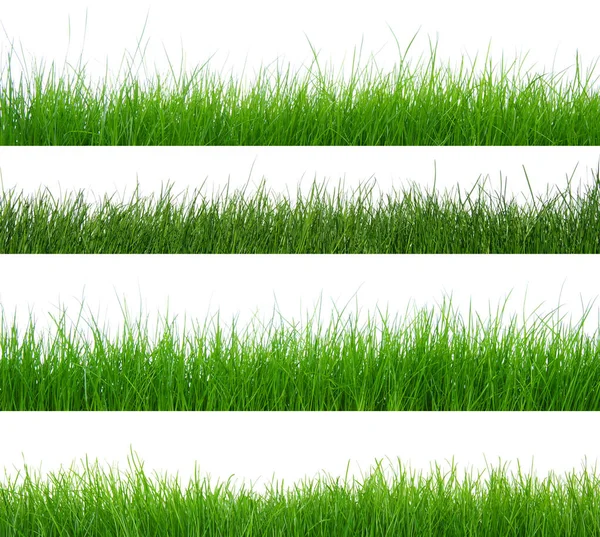 Olika Typer Grönt Gräs — Stockfoto