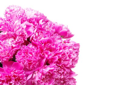 Pembe şakayık beyaz arkaplanda izole edilmiş